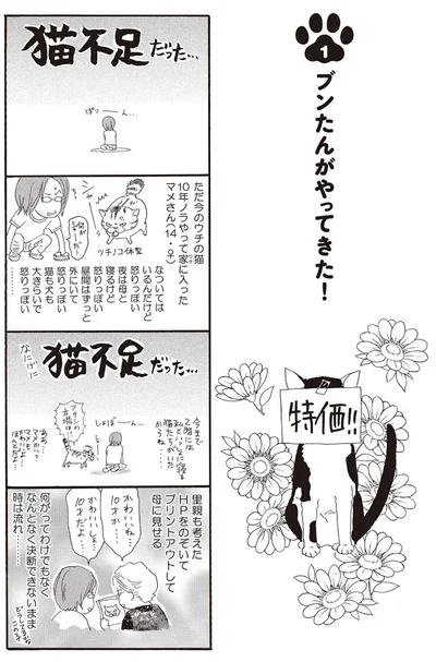 ブンたんがやってきた！
