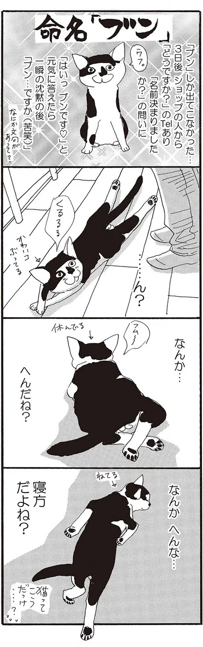 命名「ブン」