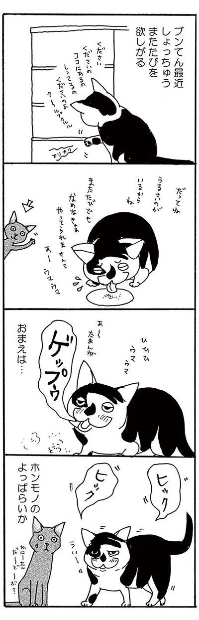 『そろえてちょうだい？』より