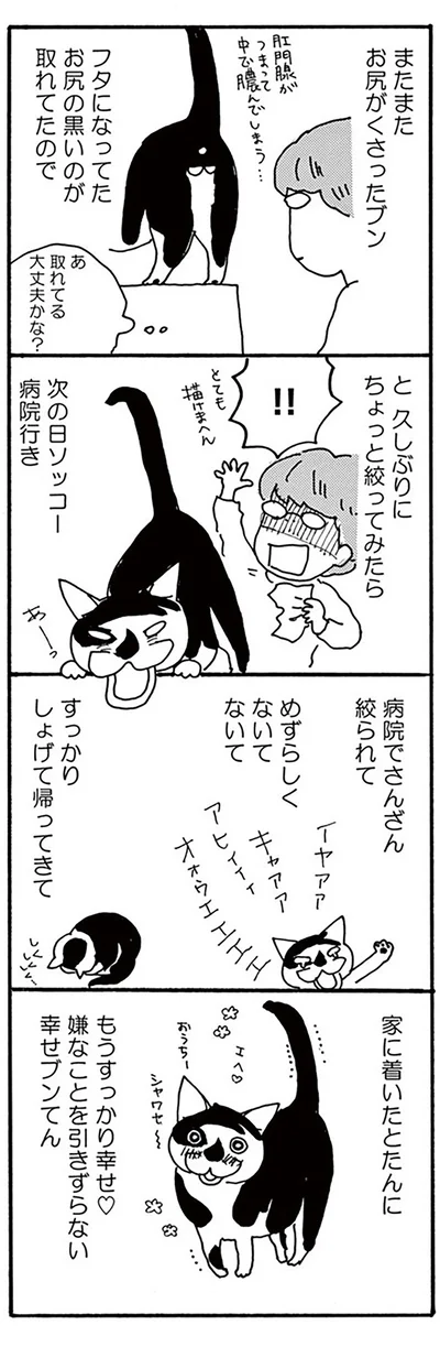 『そろえてちょうだい？』より