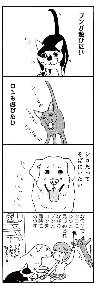 『そろえてちょうだい？』より