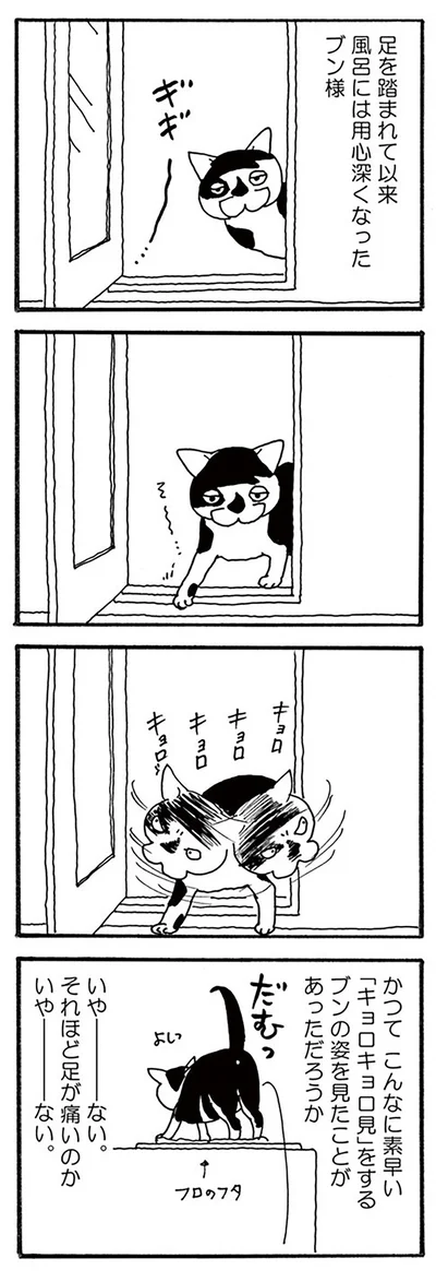 『そろえてちょうだい？』より