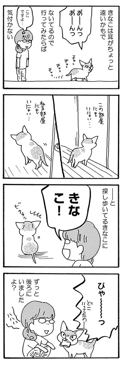 『そろえてちょうだい？』より