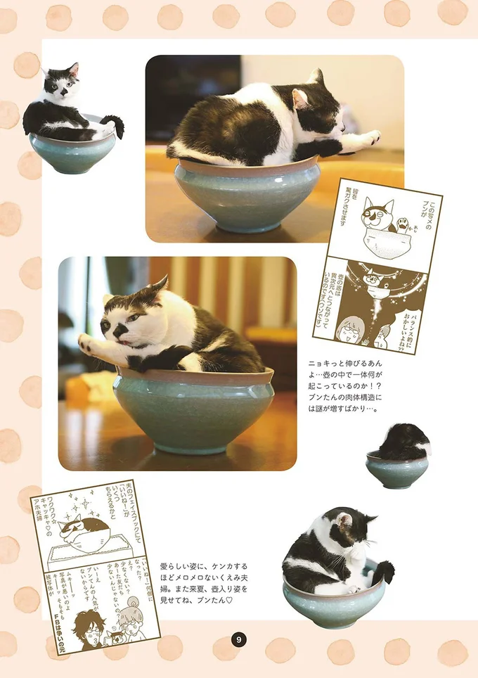 『そろえてちょうだい？』より