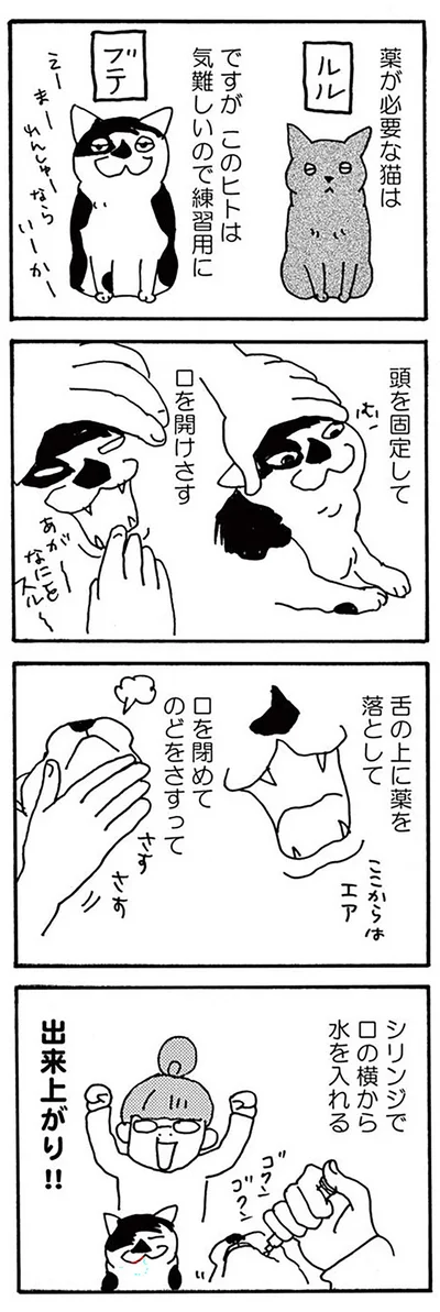 『そろえてちょうだい？』より
