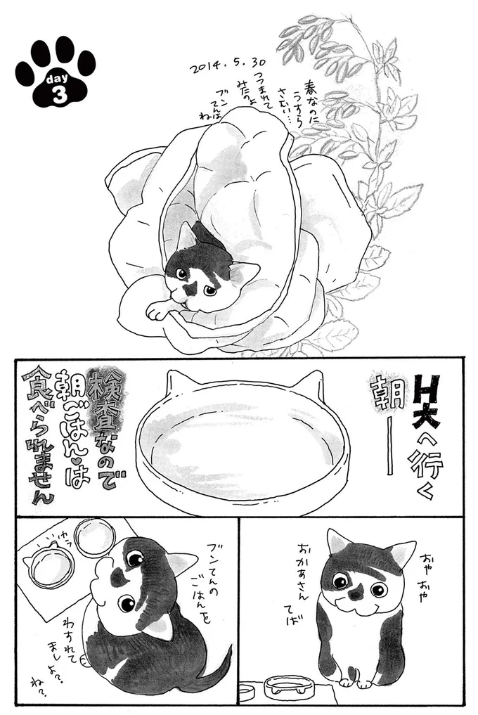 『そろえてちょうだい？』より