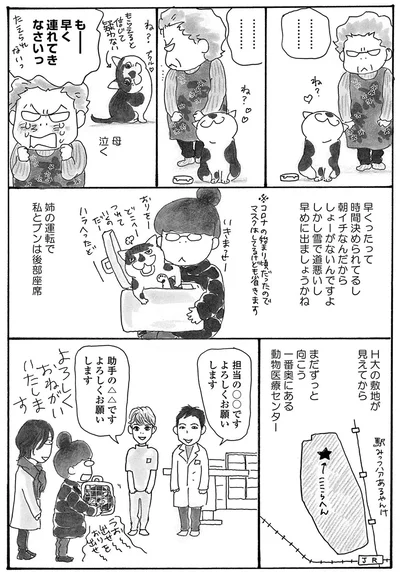 『そろえてちょうだい？』より
