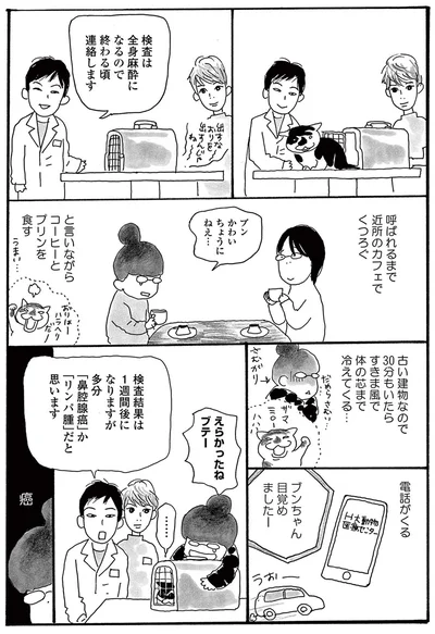 『そろえてちょうだい？』より