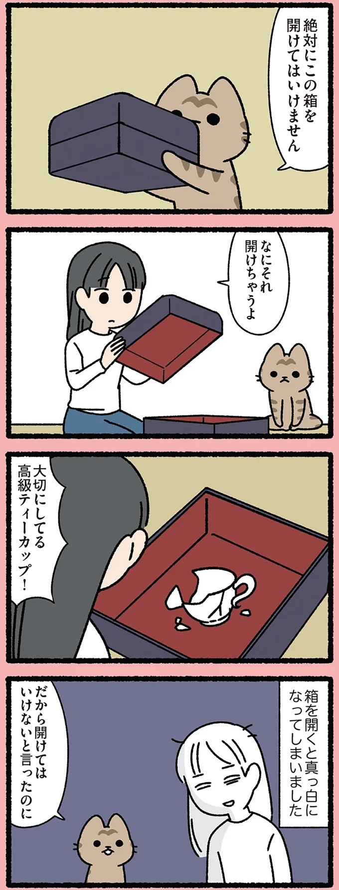 絶対にこの箱を開けてはいけません
