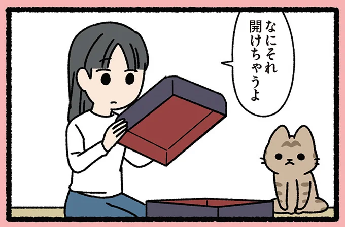 なにそれ、開けちゃうよ