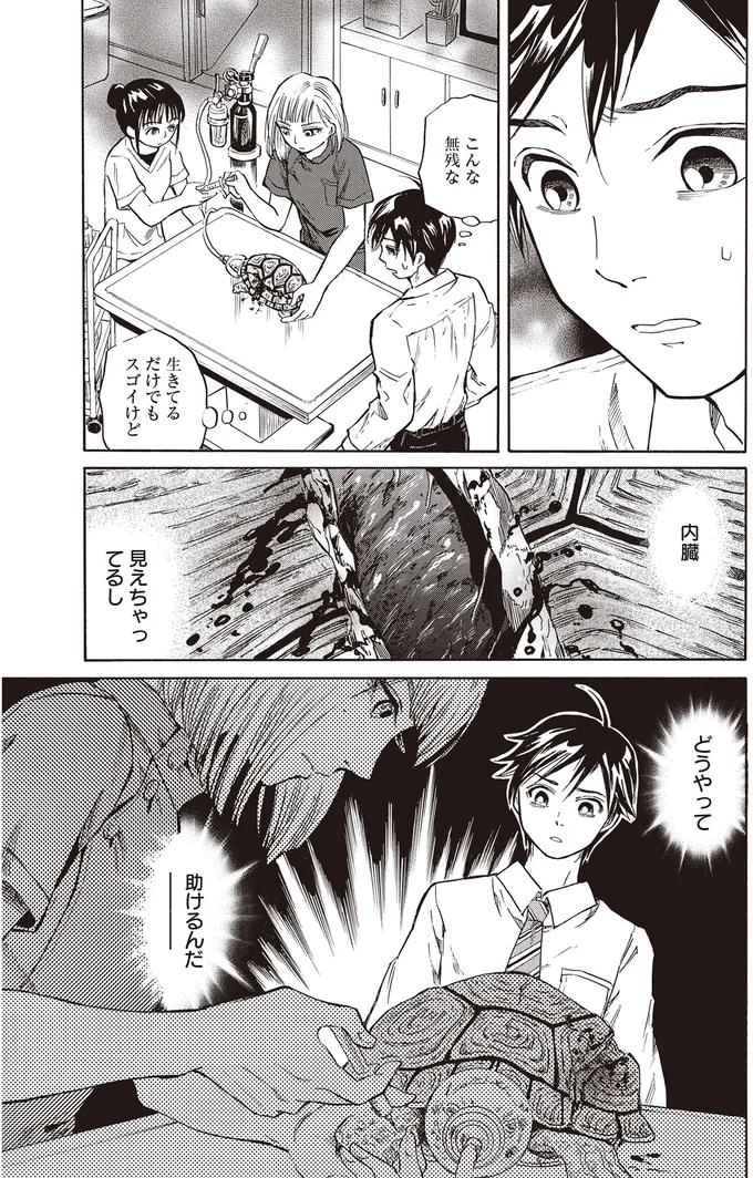 『珍獣のお医者さん』より