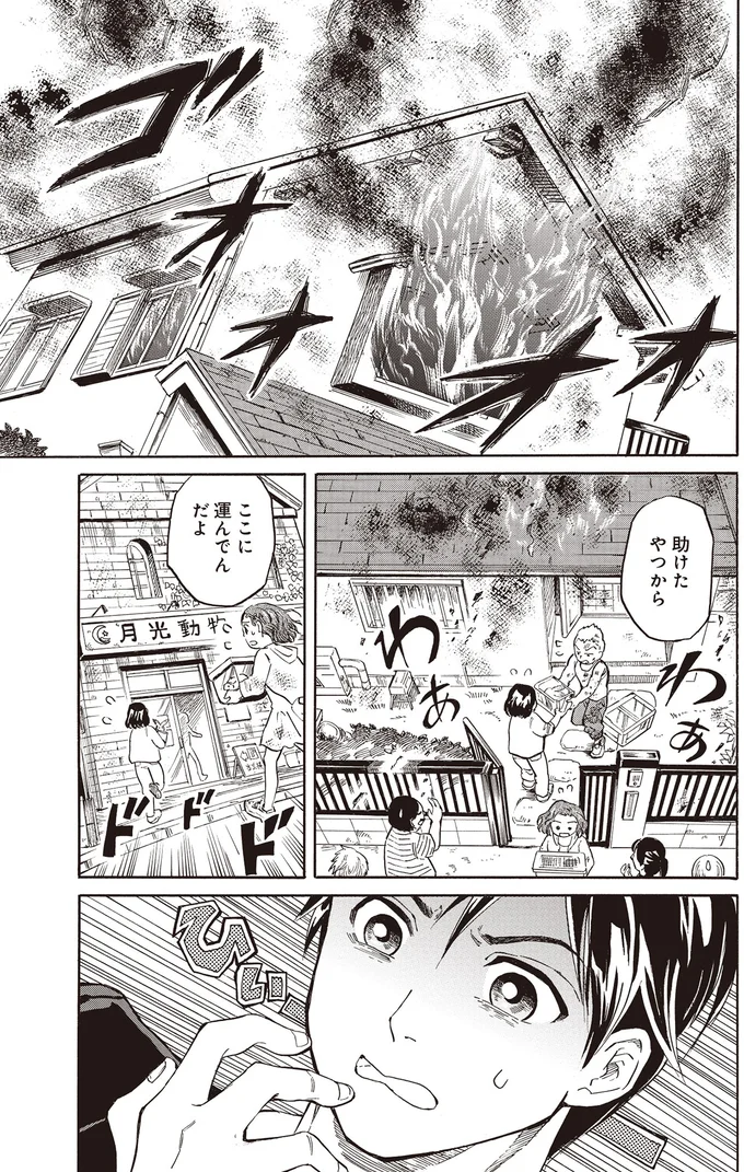 『珍獣のお医者さん』より