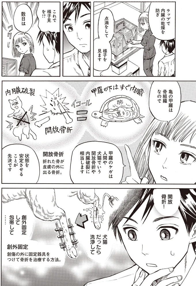 『珍獣のお医者さん』より