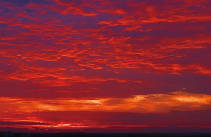 深紅に焼ける雲に見惚れる―