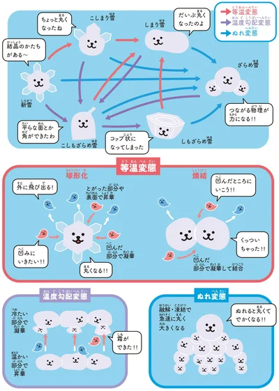 雪質が変わるしくみ
