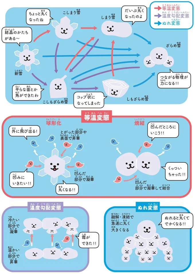 雪質が変わるしくみ