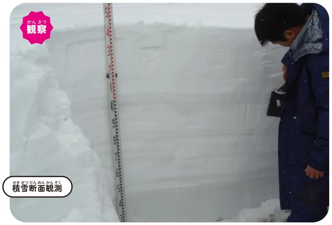 積雪断面観測