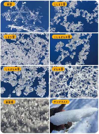 雪質