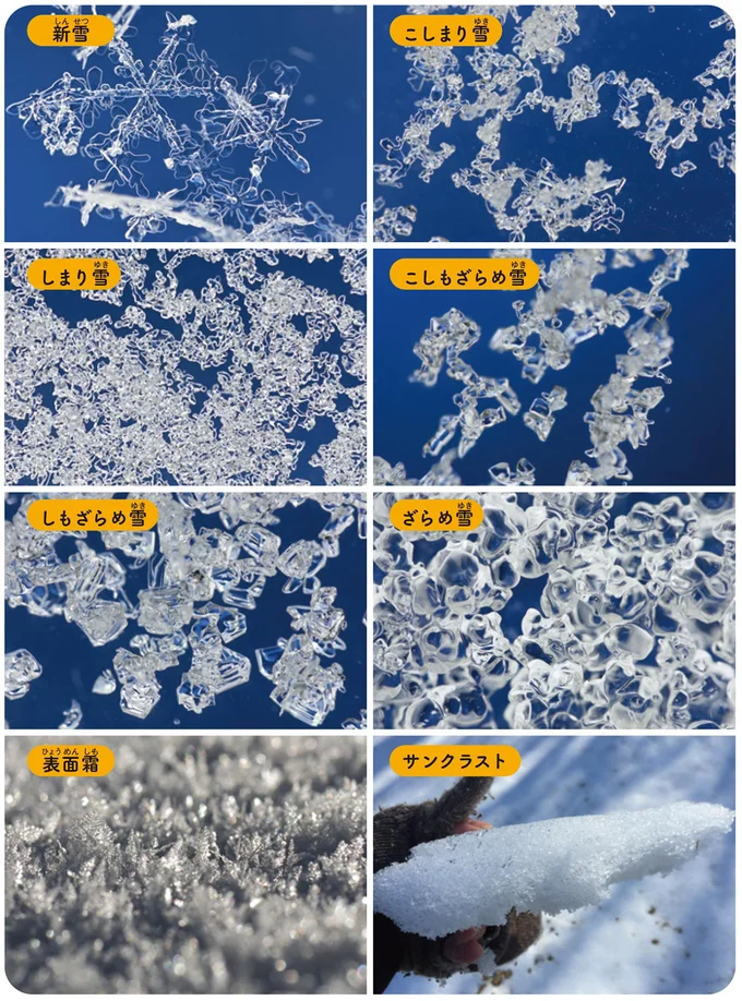 雪質