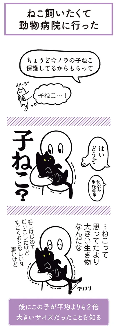 子ねこ？