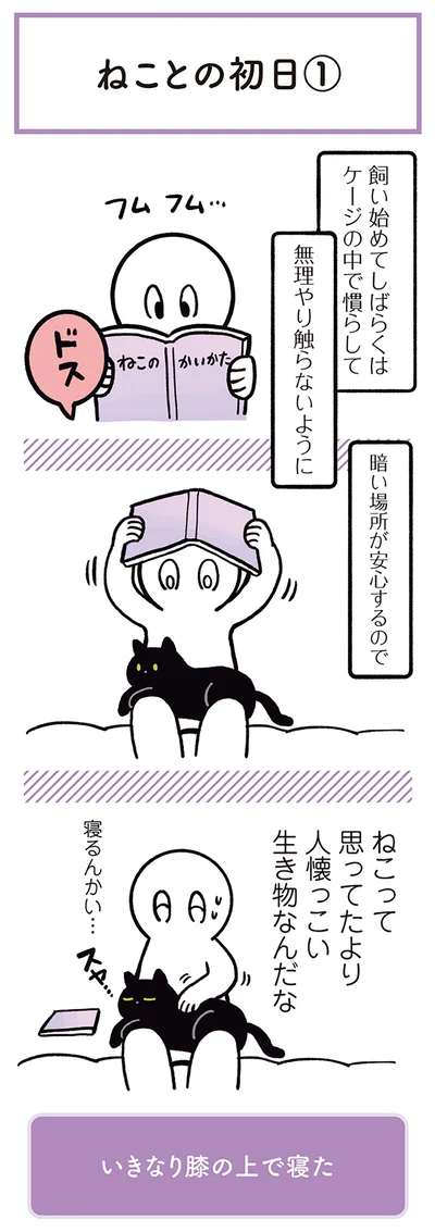 ねこって思ってたより人懐っこい生き物なんだな