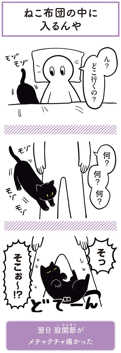 『黒猫ろんと暮らしたら』より