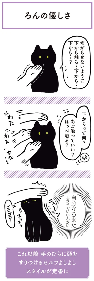 『黒猫ろんと暮らしたら』より