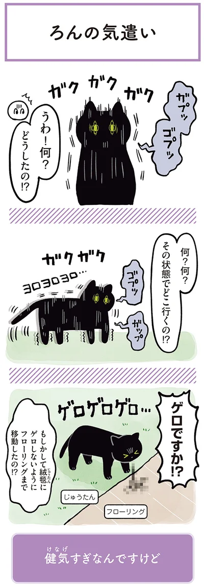 『黒猫ろんと暮らしたら』より