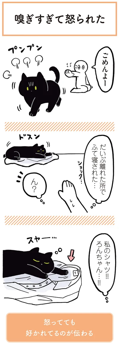 『黒猫ろんと暮らしたら』より