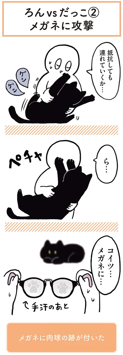 『黒猫ろんと暮らしたら』より