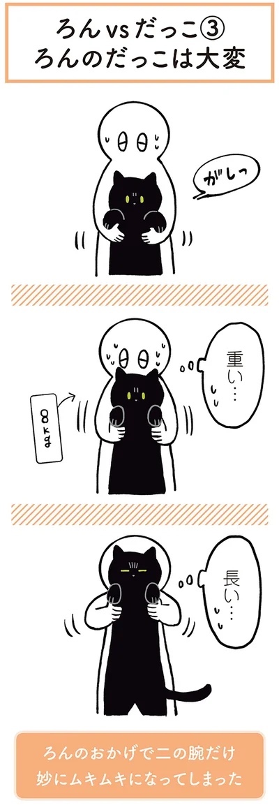 『黒猫ろんと暮らしたら』より