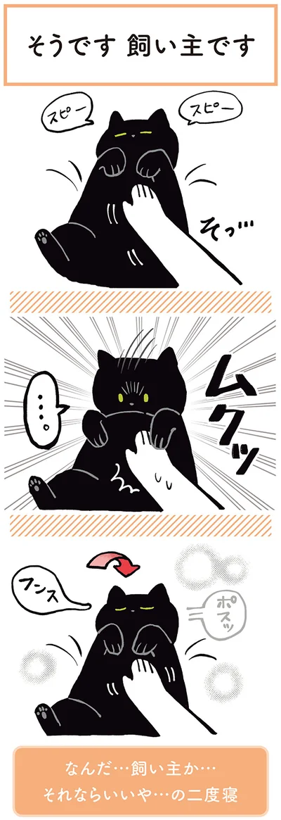 『黒猫ろんと暮らしたら』より