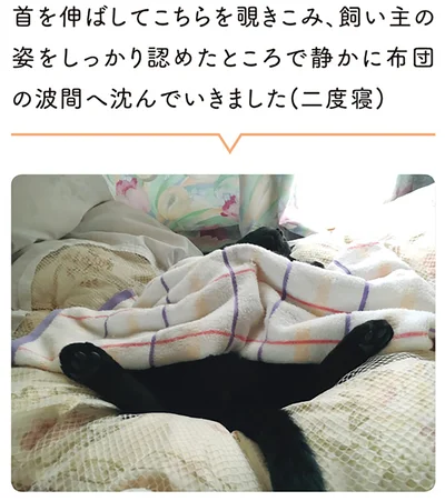 『黒猫ろんと暮らしたら』より