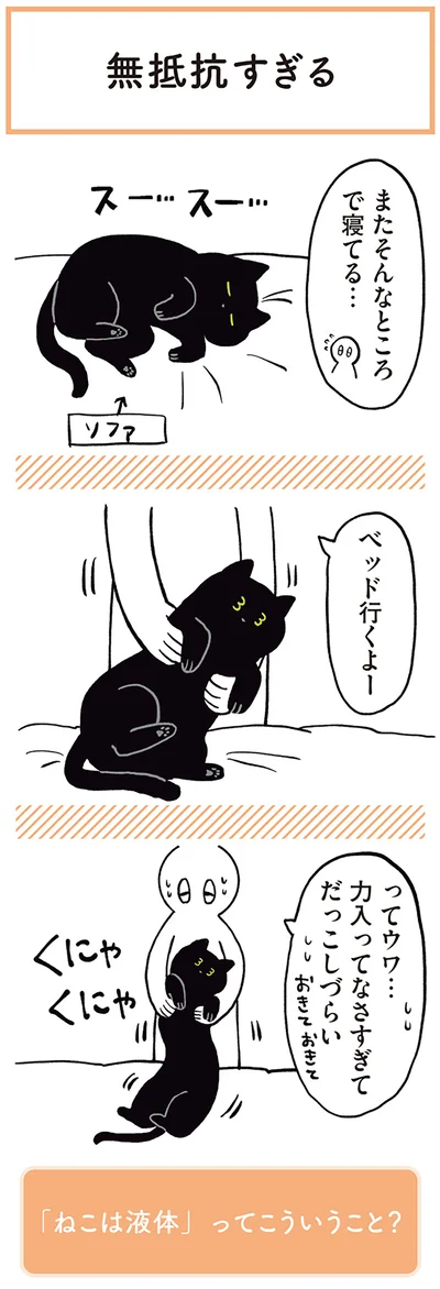 『黒猫ろんと暮らしたら』より