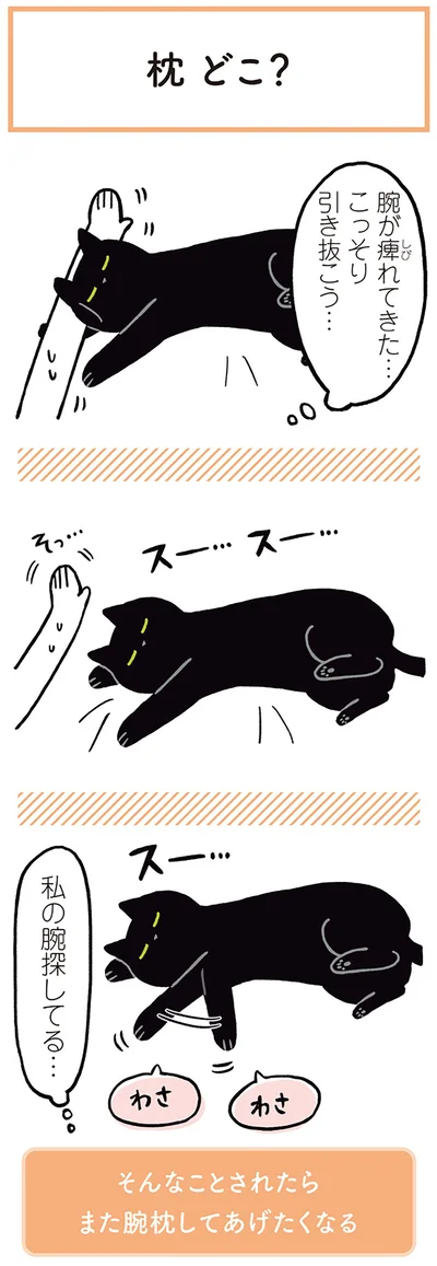 『黒猫ろんと暮らしたら』より