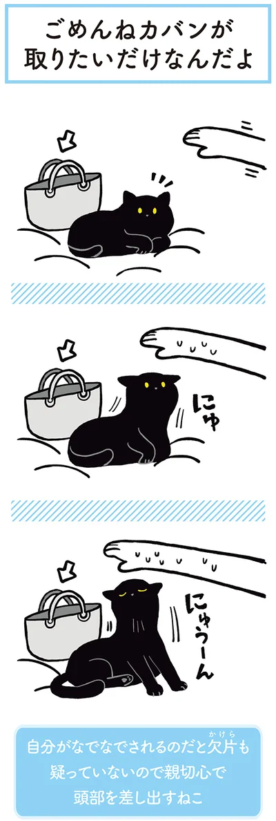 『黒猫ろんと暮らしたら』より