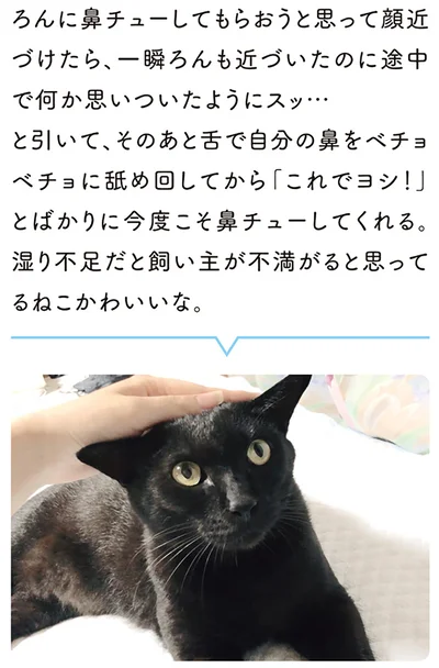 『黒猫ろんと暮らしたら』より