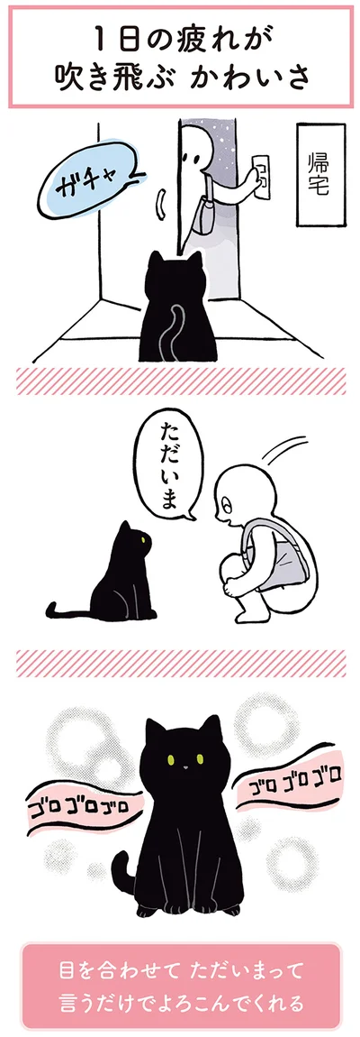 『黒猫ろんと暮らしたら』より