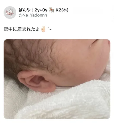 つるつるお肌に小さいお耳…新生児って写真だけで尊さが伝わってきます。ご出産お疲れ様でした！▶︎次は2歳のお姉ちゃんのびっくり写真へ！そんなところで何してるの？（⇒次へ）