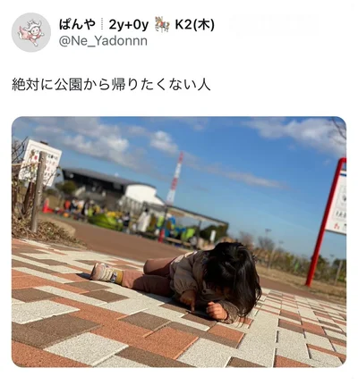 なんと公園から帰りたくない！の表現でした。イヤイヤもかわいいですね！▶︎次はこんなかわいい姉妹を育てているぱんやさんの深すぎるポストへ！（⇒次へ）