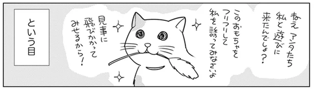 猫の妨害に遭いながらも片付け続行！ 行方不明だった年金手帳も発見？／二度と散らからない部屋になりました（7）