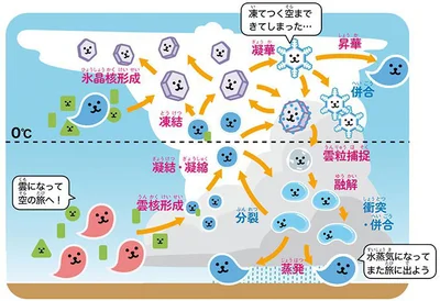 雲の中ではいったい何が！？