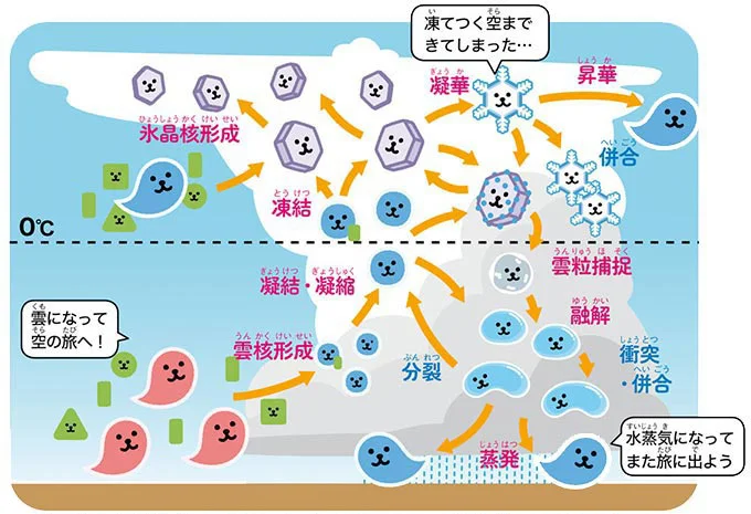 雲からは雨が降り、寒い冬には雪が！雲の中では何が起こっている⁉／雲の超図鑑（1）