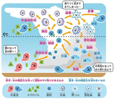 雲物理過程のイメージ