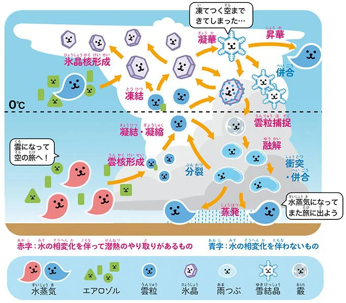 雲物理過程のイメージ