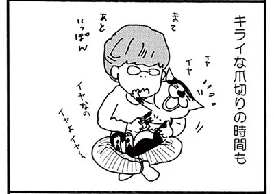 ウチの猫はいい性格してる。キライなお薬や爪切りが終わると…!?