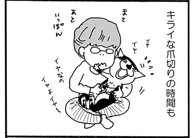 ウチの猫はいい性格してる。キライなお薬や爪切りが終わると…!?／そろえてちょうだい？（2）