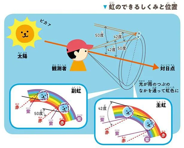 虹のできるしくみと位置