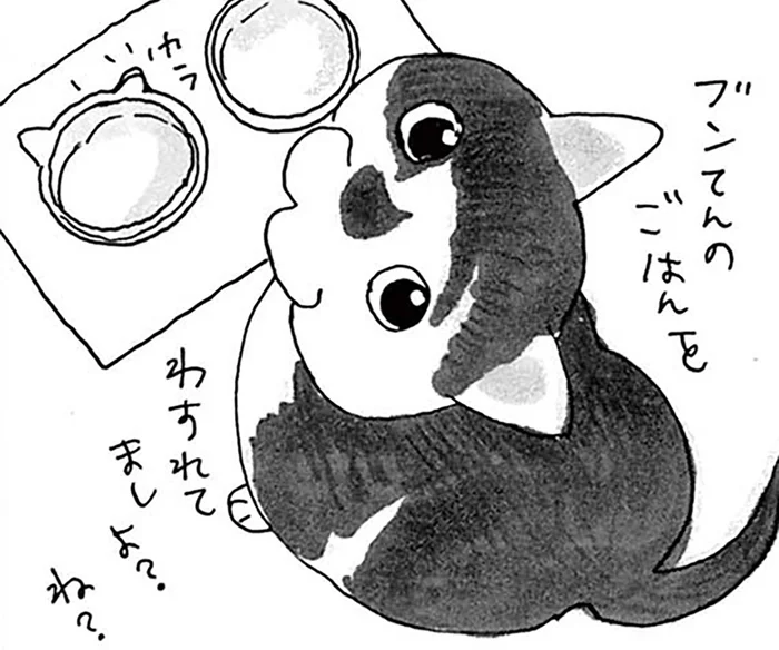 飼い主だってツライ。病院での検査前にご飯をねだる愛猫を見て…／そろえてちょうだい？（5）