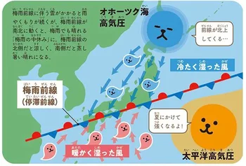 日本に「梅雨」があるのはなぜ？どんよりした雨模様が続く理由／もっとすごすぎる天気の図鑑（4）